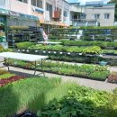 안흥면우체국 이미지