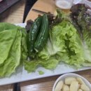 육일삼 네이버블로그