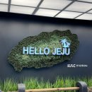 만복카 | 제주도 동쪽 당일치기여행 (1)