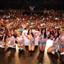 엘비스 클럽 이미지