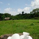 소명어린이집 이미지