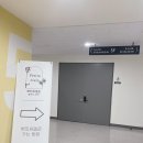 다산 돌잔치 파티 장소대여 쁘띠씨엘로 조카돌잔치 후기