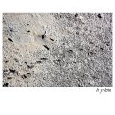 벌교생태공원 이미지