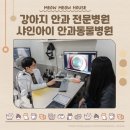 샤인아이안과동물병원 이미지