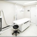 치유본한방병원 이미지