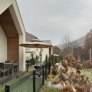 메리도그하우스 이미지