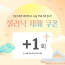 셀리