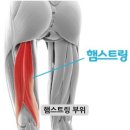 늘필라테스 이미지