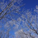 가자 무인텔 이미지