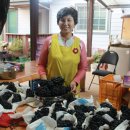 수화농장 이미지