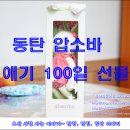 애기 100일 선물 동탄압소바 윌리인형 이미지