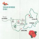 1/8(목)애기동백꽃축제 백수해안 트레킹 천사대교 암태도 등대(영광/목포)출발06시50분 이미지