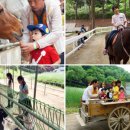 연식농장 이미지