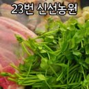 전망대매화농원