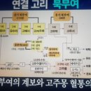 광개토태왕이 17대왕이라고하면..북부여 해모수가 1대단군. 2대단군 모수리. 3대 고해사.4대 고우루...에서 (당시에는 모계사회.데릴사위제 영향으로 어머니성 이미지