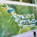 노을에반하다 | 서산펜션 애완동반 가능한 오션뷰 수영장 독채펜션 노을에반하다