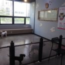 원더우멍 이미지