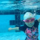 블루마린 아쿠아스쿨 이미지