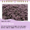 수피아 | 대구근교 칠곡 핑크뮬리 명소 가산수피아 주차 방문후기