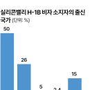 비자