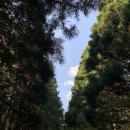 서호동-38 | 제주 혼자 여행 가성비 호텔 추천