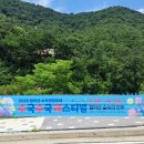 숲속의정원 - 가평군 가화로 988-50 | 진주 월아산 수국축제 숲속의진주 수국정원 방문 후기