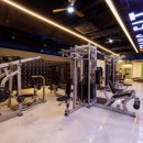 트랜스핏짐 이미지