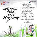 일러스트 캘리그라피 이미지