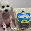 더킨피드 이미지