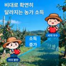 이동농약사 | ♣ 비대그라 (세포활성, 비대증진제)