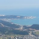 산호집 네이버블로그