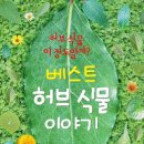 베스트허브