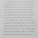 낭만고양이 이미지