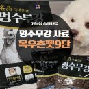 비숑명가 | 멍수무강 사료 강아지 기능성 습식사료 급여후기