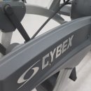 피티몽키위드레몬 이미지