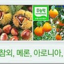 조성숙농장 | 추석 장보기 제수용 선물용 친환경 농산물과 수산물 축산물 할인장터 생산자 직거래