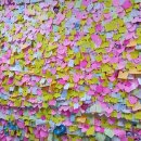 사랑애견 이미지