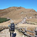 영남여관 이미지