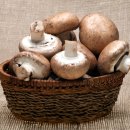 배성식품 이미지