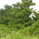 고산리마을회관 이미지