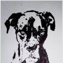 JR디자인 이미지