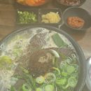 런던커피 | 제주런던베이글/카멜커피 후기