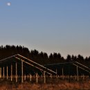 보은 태양광발전소 이미지