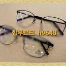 H9648 이미지