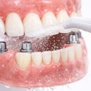 e웰니스치과의원 이미지