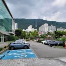 화정글샘도서관 이미지