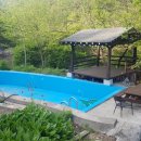 녹색향기 펜션 이미지