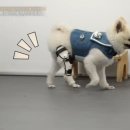 워크앤런 이미지