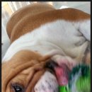 대성서적 이미지