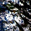 인더리버(In the river) 이미지